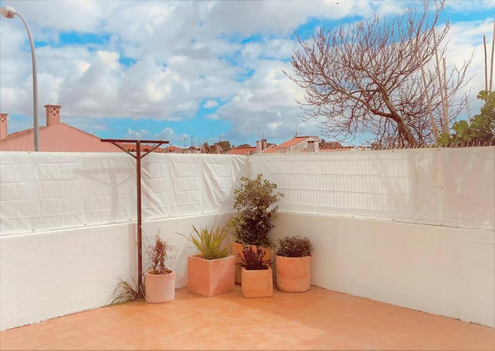 Cozy Apartment With Private Courtyard Barcarena Zewnętrze zdjęcie