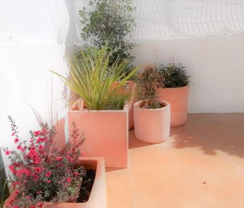 Cozy Apartment With Private Courtyard Barcarena Zewnętrze zdjęcie