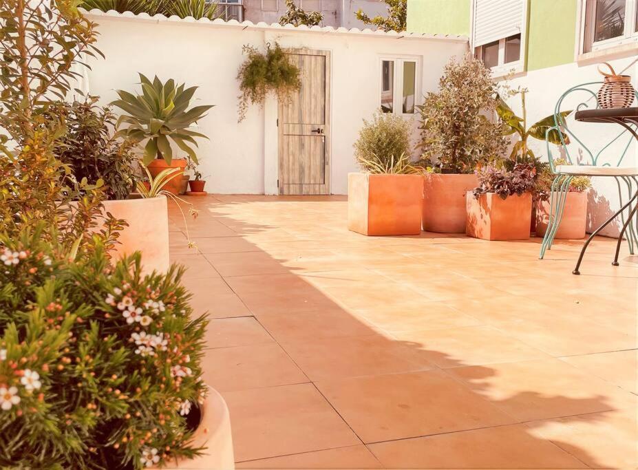 Cozy Apartment With Private Courtyard Barcarena Zewnętrze zdjęcie